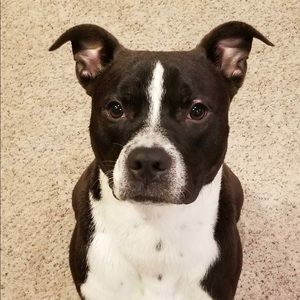 Meet your Posher, Macy